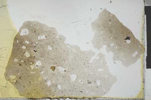 Plane Polarized, S27582