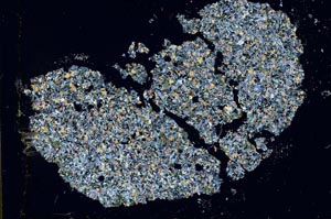 Cross Polarized, S27623