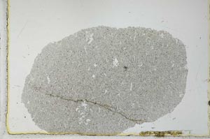 Plane Polarized, S27627