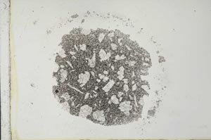 Plane Polarized, S27648