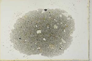 Plane Polarized, S27661