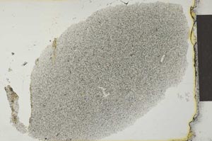 Plane Polarized, S27663