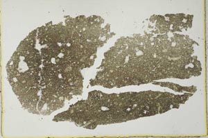 Plane Polarized, S27678