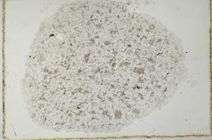 Plane Polarized, S27679