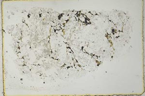Plane Polarized, S27681