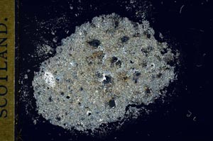 Cross Polarized, S27687