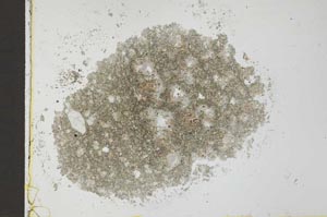 Plane Polarized, S27687