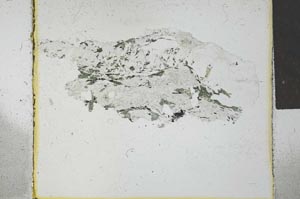 Plane Polarized, S27697