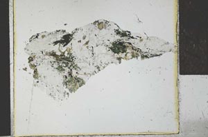 Plane Polarized, S27698