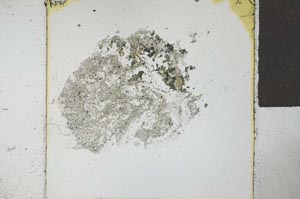 Plane Polarized, S27702