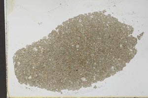 Plane Polarized, S27711