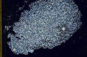 Cross Polarized, S27713