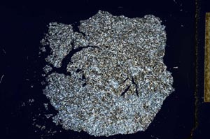 Cross Polarized, S27714