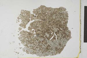 Plane Polarized, S27714