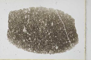 Plane Polarized, S27719