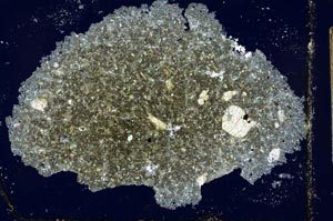 Cross Polarized, S27728