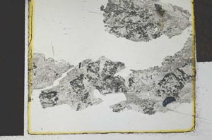 Plane Polarized, S27731