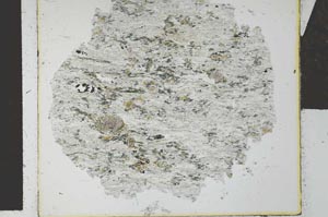 Plane Polarized, S27732