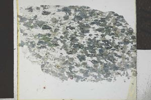 Plane Polarized, S27740