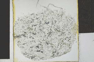 Plane Polarized, S27741