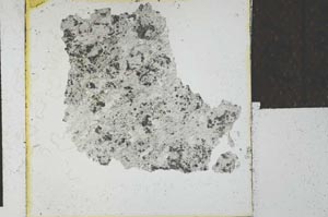 Plane Polarized, S27743