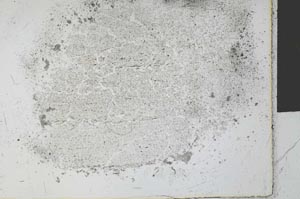 Plane Polarized, S27752