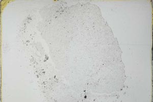 Plane Polarized, S27757