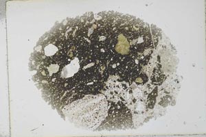 Plane Polarized, S27764