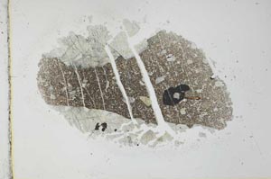 Plane Polarized, S27769