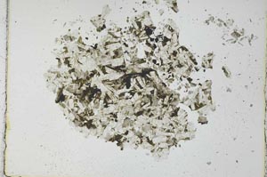 Plane Polarized, S27773
