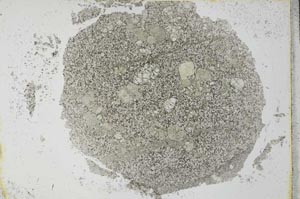 Plane Polarized, S27774