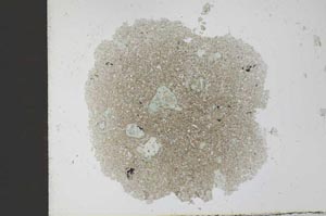Plane Polarized, S27781