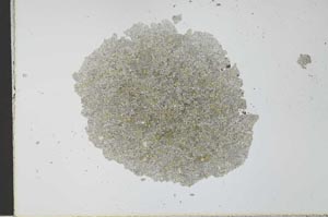 Plane Polarized, S27783