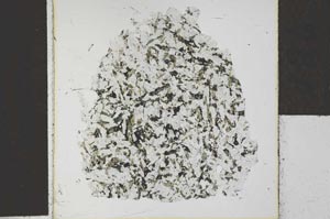 Plane Polarized, S27791
