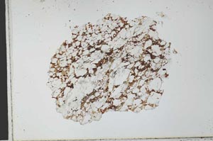 Plane Polarized, S27817