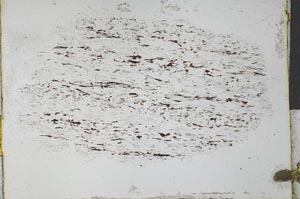 Plane Polarized, S27818