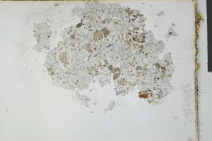 Plane Polarized, S27824