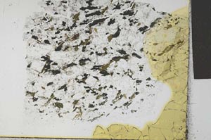 Plane Polarized, S27825