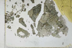 Plane Polarized, S27828