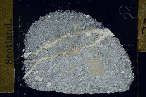 Cross Polarized, S27835