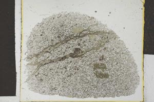 Plane Polarized, S27835