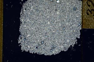 Cross Polarized, S27836