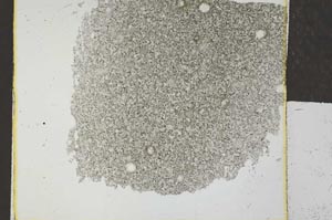 Plane Polarized, S27836