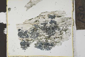 Plane Polarized, S27848