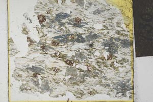 Plane Polarized, S27849