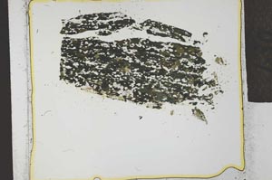 Plane Polarized, S27852