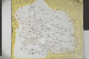 Plane Polarized, S27858