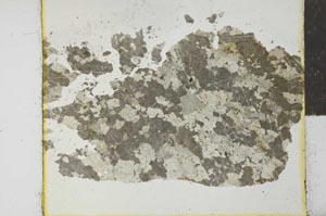 Plane Polarized, S27861