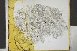 Plane Polarized, S27863