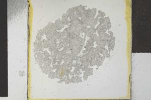 Plane Polarized, S27865